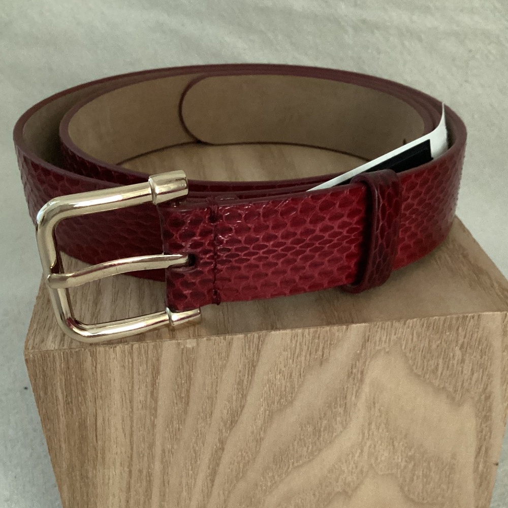 Ann Taylor Red Textured Leather Belt with Gold Buckle